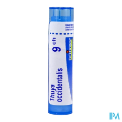 Thuya occident 9ch tg b - La Grande Pharmacie