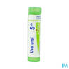 Uva ursi 5ch tg b - La Grande Pharmacie