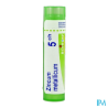 Zincum metal 5ch tg b - La Grande Pharmacie