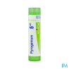 Pyrogenium 5ch tg b - La Grande Pharmacie