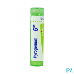 Pyrogenium 5ch tg b - La Grande Pharmacie
