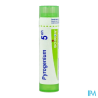 Pyrogenium 5ch tg b - La Grande Pharmacie