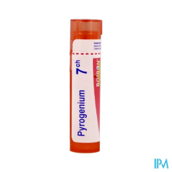 Pyrogenium 7ch tg b - La Grande Pharmacie