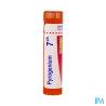 Pyrogenium 7ch tg b - La Grande Pharmacie