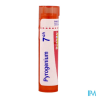 Pyrogenium 7ch tg b - La Grande Pharmacie