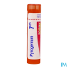 Pyrogenium 7ch tg b - La Grande Pharmacie