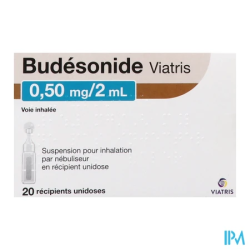 Budesonide 0 5mg 2ml viatris inh20 - La Grande Pharmacie