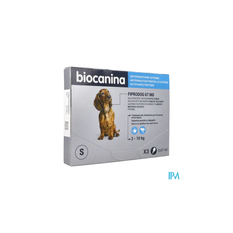 FIPRODOG 67MG SPOTON PT/CHIEN PIP3