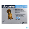 FIPRODOG 67MG SPOTON PT/CHIEN PIP3