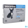 FIPRODOG 134MG SPOTON M/CHIEN PIP3