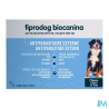 FIPRODOG402MG SPOTON TG/CHIEN PIP3