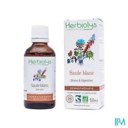 HERBIOLYS BOURG SAULE BLC BIO50ML