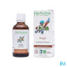 HERBIOLYS BOURG SAULE BLC BIO50ML