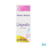 CORYZALIA SOL BUV UNIDOSES 20