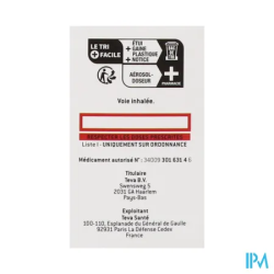FLUTICASONE 250MCG TEVA SUSP FL120