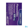 FLAVONOIDES 500MG VIATRIS CPR 60
