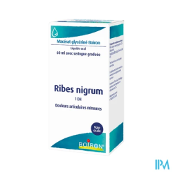 RIBES NIGRUM 1DH BOIRON 60ML FL1