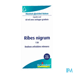 RIBES NIGRUM 1DH BOIRON 60ML FL1