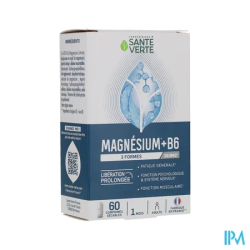 SANTE VERTE MAGNESIUM 360MG CPR60