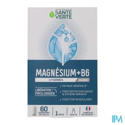 SANTE VERTE MAGNESIUM 360MG CPR60