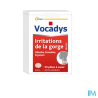 VOCADYS PATE 30
