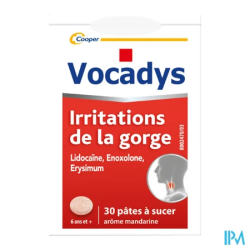 VOCADYS PATE 30