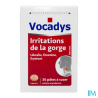 VOCADYS PATE 30