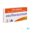 OSCILLOCOCCINUM 6 DOSES