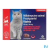 Viatris milbemyc praziq ct cpr 2 - La Grande Pharmacie