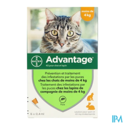 Advantage 40 chat lapin pipet 6 - La Grande Pharmacie