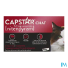Capstar chat 11 4mg cpr 6 - La Grande Pharmacie