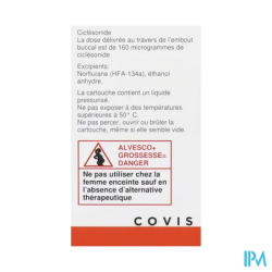 ALVESCO 160MCG/DOSE 120