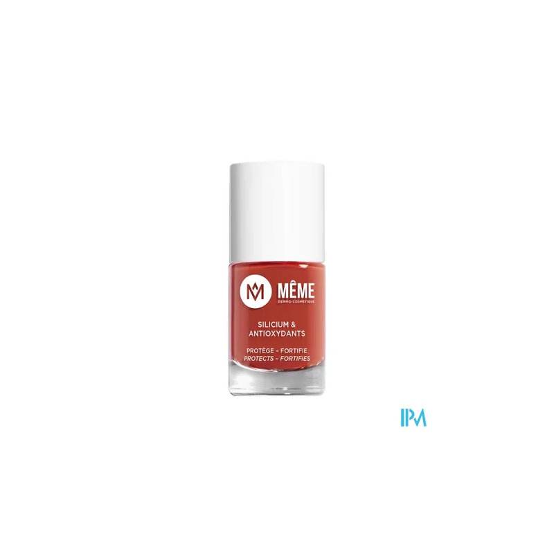 MEME VERNIS BRIQ 27 M.PIERRE 10ML