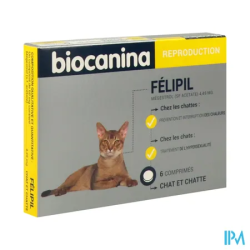 BIOCANINA FELIPIL CPR 6