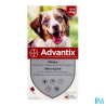 ADVANTIX MOY CHIEN PIPET2,5ML6
