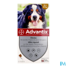 ADVANTIX TGR/CHIEN PIPET 6ML 4