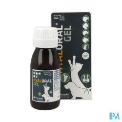 Hyaloral chat chien gel oral 50ml - La Grande Pharmacie