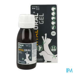 Hyaloral chat chien gel oral 50ml - La Grande Pharmacie