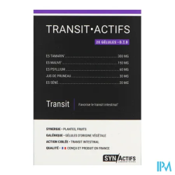 SYNACTIFS TRANSITACTIFS GELULE 20