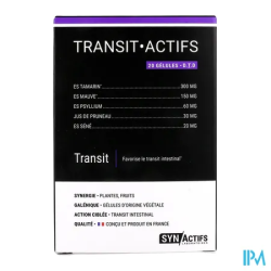 SYNACTIFS TRANSITACTIFS GELULE 20
