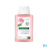 Klorane sh pivoine 100ml - La Grande Pharmacie