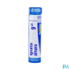 Ignatia amara 9ch tg b - La Grande Pharmacie