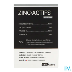 SYNACTIFS ZINCACTIFS GELUL 60
