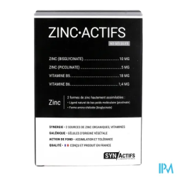 SYNACTIFS ZINCACTIFS GELUL 60