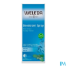 Weleda deod 24h sauge spr 100ml - La Grande Pharmacie