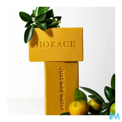 HORACE PAIN SURG ORANG/PETITGR125G