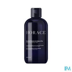 HORACE GEL DCH MENTH/ARBR THE 250