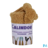 CALINDOO CHAUSSON-CHAUSSETTE