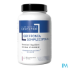 GRIFFONIA SIMPLICI LESCUYER CPR60