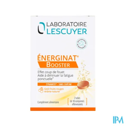 ENERGINAT BOOST LESCUYER CPR EFF20